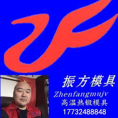 任丘市振方硬質(zhì)合金模具有限公司